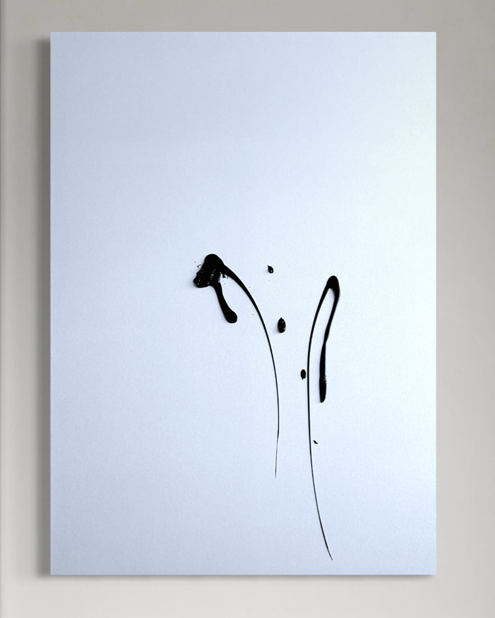 Skins & | 30"x40"